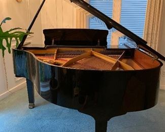 Petrof Baby Grand Piano