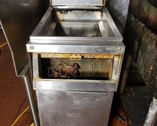 Gas fryer