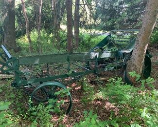 Tree growing thru the wheel