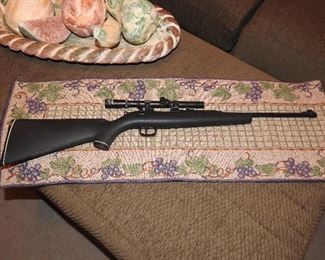 Daisy Pellet Gun