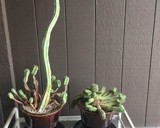 Twin Brown Glazed Pots With Cactus https://ctbids.com/#!/description/share/171547