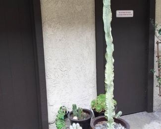Cacti in Glazed Ceramic Pots https://ctbids.com/#!/description/share/171567