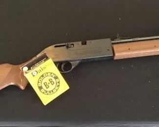This BB Rife Gun is perfect for keeping those pest from your garden.