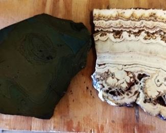 Petrified Wood