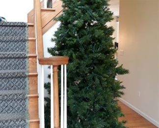 Christmas Trees throughout the home, very large