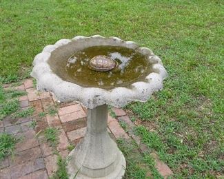 nice cement bird bath & a real tortoise shell
