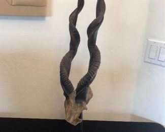 Antelope/Kudu Horns Sculpture