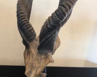 Antelope/Kudu Horns Sculpture