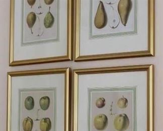 Apples and Pears Print by "J.B. Waltters"