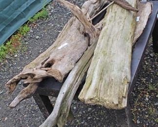  Selection of Driftwood

Auction 50-$200 – Located Field 