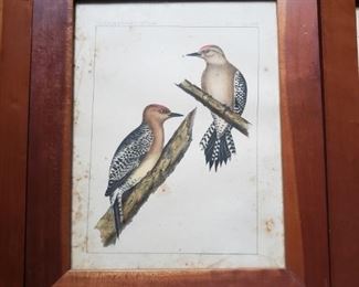 Woodpeckers, wood frame