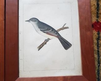 Part of a group of bird prints