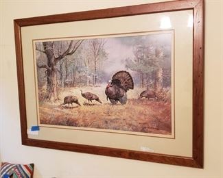 Wild turkey print