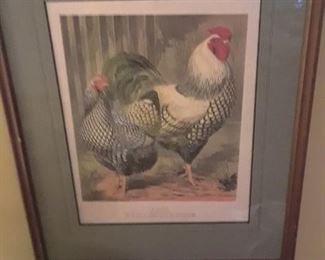 Poultry print, 1800s