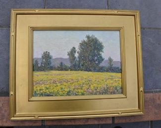 Ventura Mustard field by Gary Ray