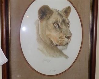 Guy Choleach picture