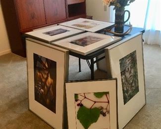 Framed Photography Wall Art