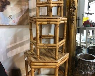 bamboo plant stnads