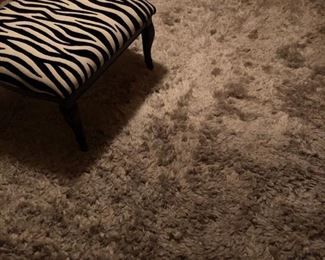 Gray Shag Rug