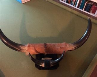 Bull horns