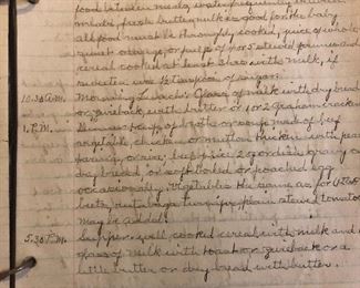 1928 journal and diary. Municipal Training School for Colored Nurses, later to be named Grady Memorial Hospital Education Department