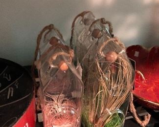 handing airplant cloche's
