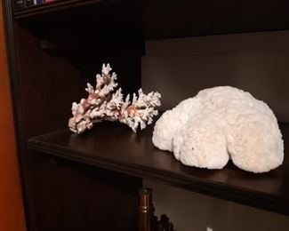 Two large pieces of coral