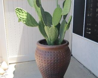 Love this cactus plant! Very heavy- you must move - will require at least two men.