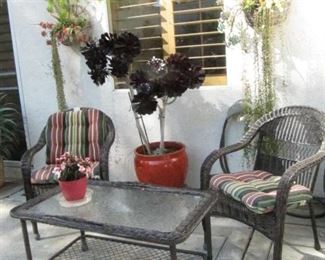 Wicker patio furniture and fabulous succelent in orange pot
