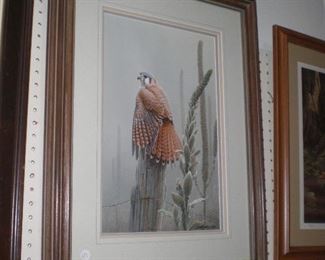 "River Bank Kestrel" by Carl Brenders #512/2500