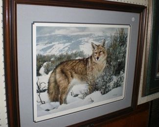 "Between the shadows- Coyote" by Nancy Glazier #738/750 signed proof