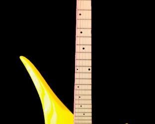 Gary Kramer custom 25.5 'frett'