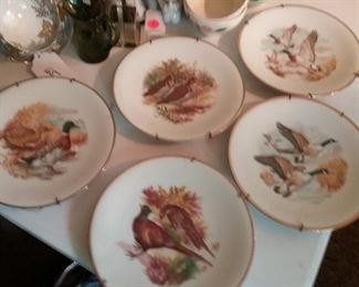 Collectible Plates