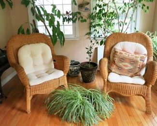 Wicker/woven chairs, plants