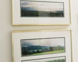 Decorative countryside prints/pictures