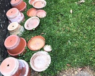 Clay pots