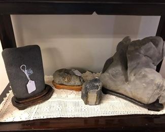 Rocks fossils and petrified wood