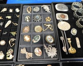 Costume jewelry brooches
