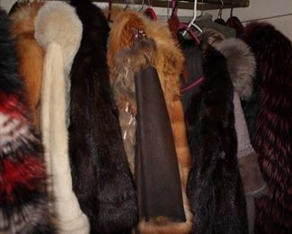 Coats and Furs