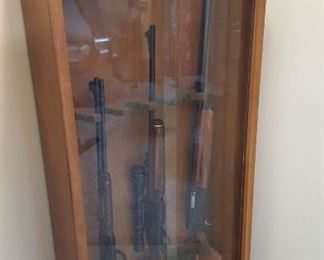 Gun case - note: we are not licensed to sell the guns. You will need to speak to the homeowner.