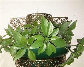 Wall Plant Lamp