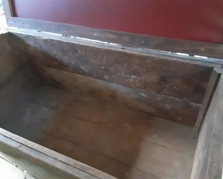 Inside View Of Chest