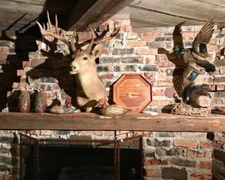 Mounted Deer Head and Multiple Taxidermy Pieces