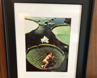 "Baby on Lilly Pad" - Yagua Tribe - Brazil, Peru, Columbia - By Loren McIntyre  