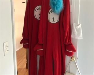 Thing 1 and Thing 2 costumes!