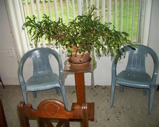 Oak Plant Stand