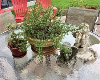 Great assortment of Plants/Flowers