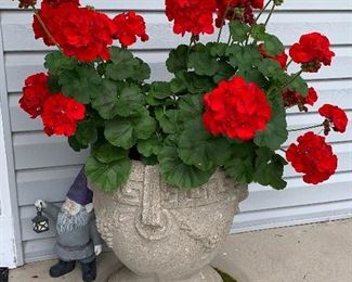 Matching Vintage Cement urn with beautiful live flowers 