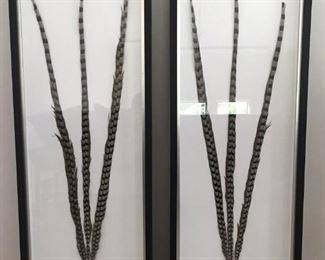 Pair of Beautifull Framed Feathers 5 ft high