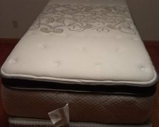 Newer Twin mattress with box spring